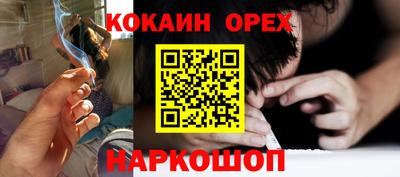 сатива Будённовск