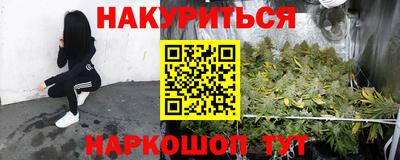 сатива Будённовск