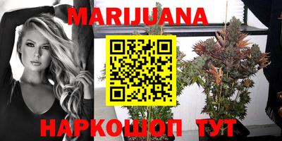 сатива Будённовск