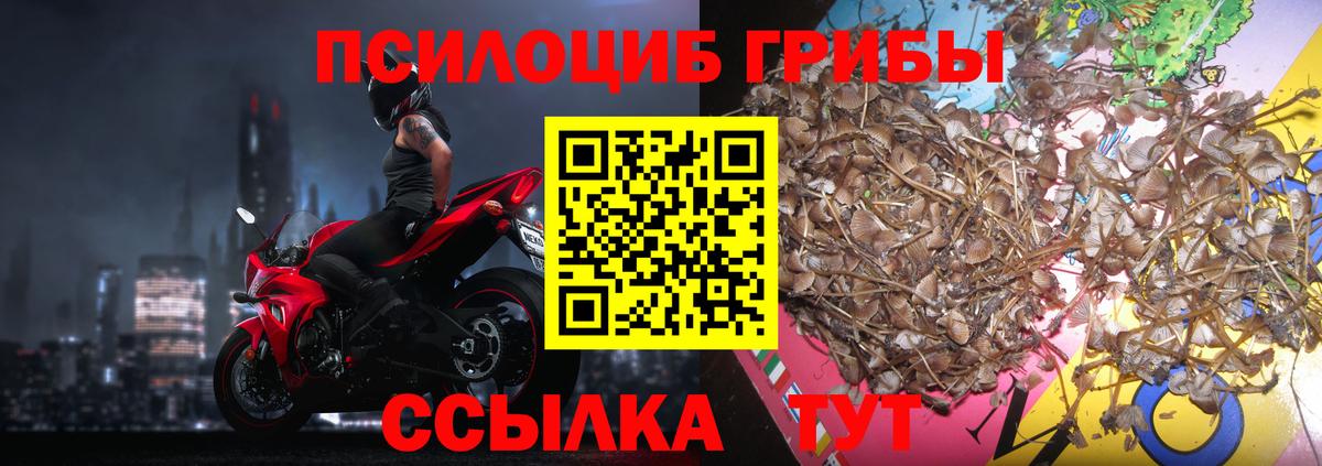 Псилоцибиновые грибы Cubensis  Псилоцибиновые грибы MAGIC MUSHROOMS  Вход с VPN  Саки 