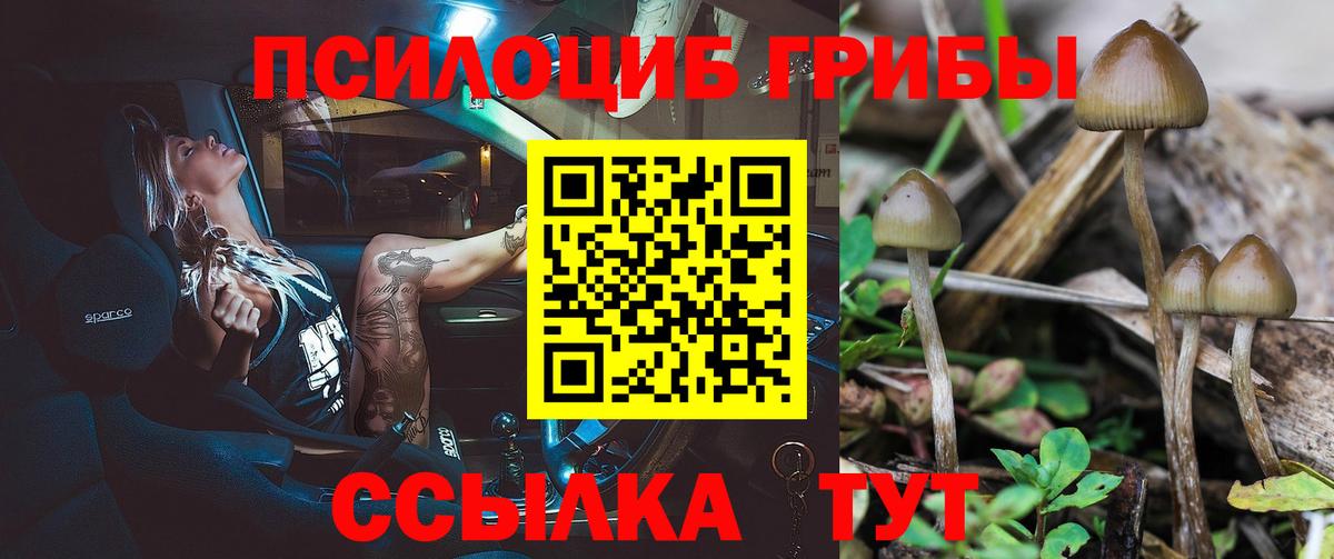 Псилоцибиновые грибы мицелий Саки