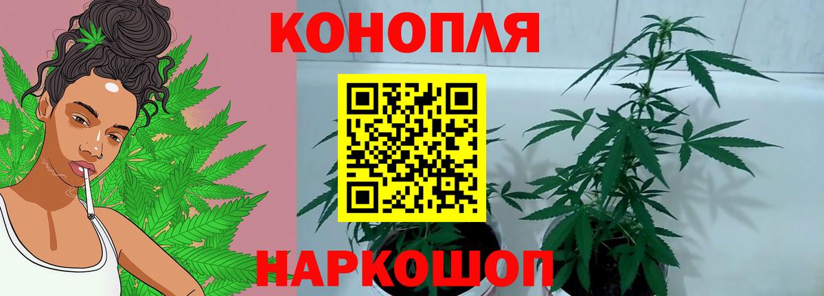 Бошки марихуана семена  Конопля VHQ  Бошки марихуана VHQ  Саки  Вход с VPN 