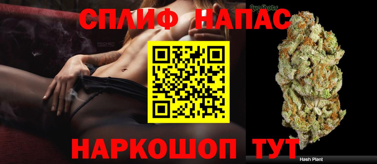 Бошки марихуана сатива Саки